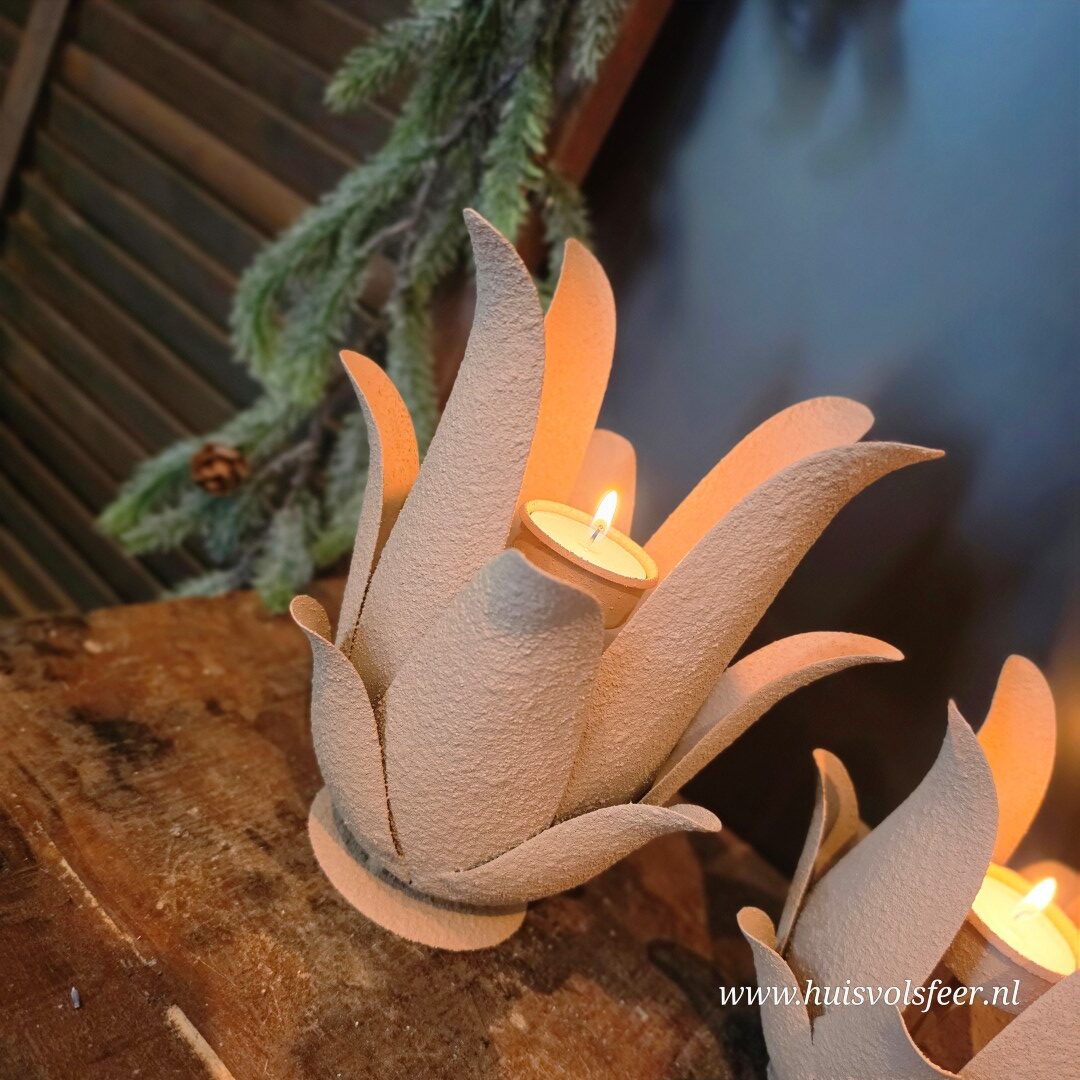 Windlicht Lotus Old Rose || 21 cm - Afbeelding 5
