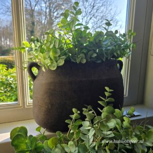 Planter Oval Two Ears L- Majestic Brown || Brynxz