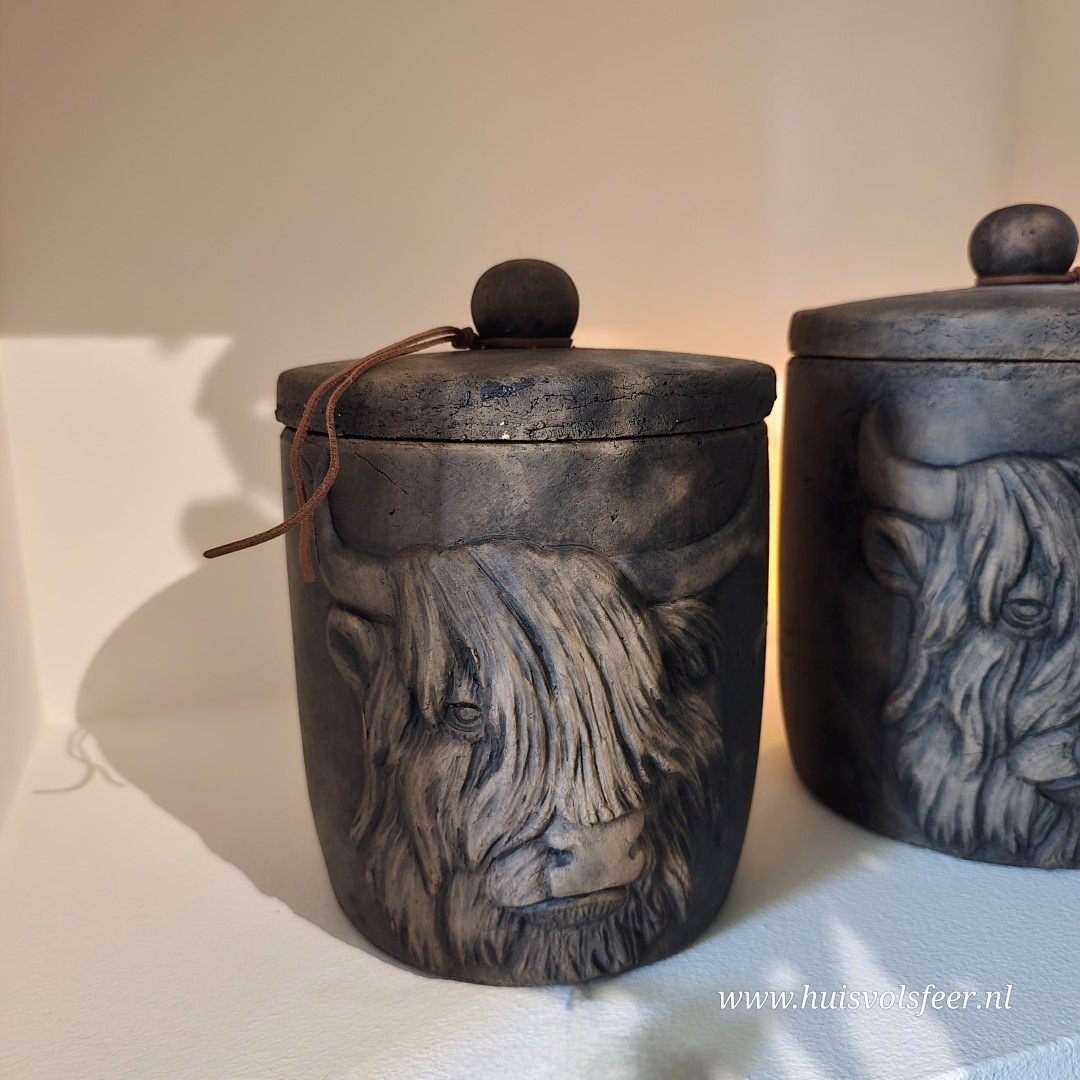 Pot and Top Scotty Best M- Majestic Brown || Brynxz - Afbeelding 3