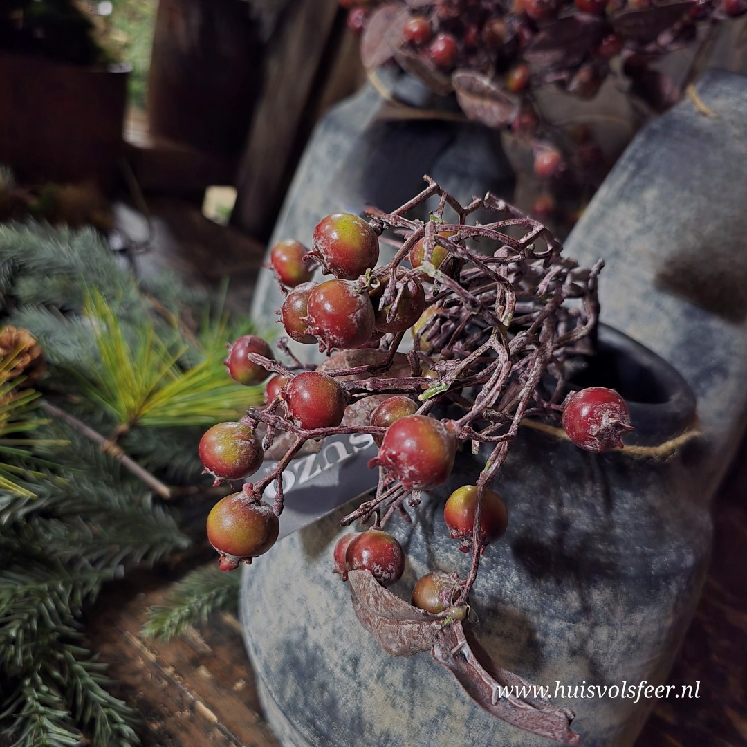 Rozenbottel Toef || Rood - Afbeelding 6