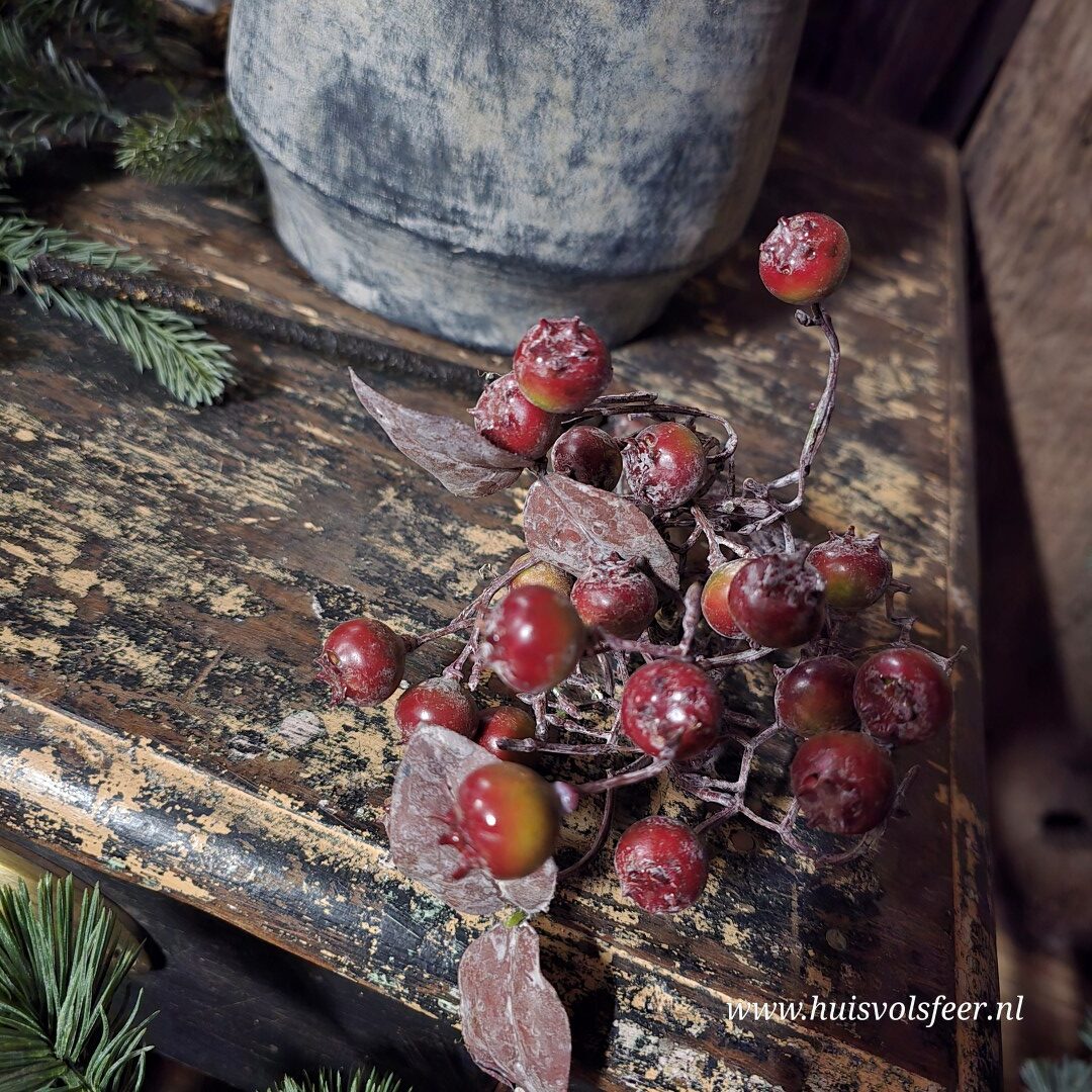 Rozenbottel Toef || Rood - Afbeelding 7