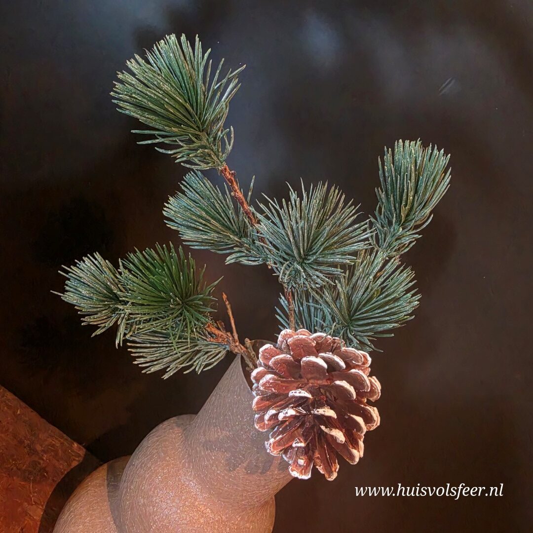Dennentak Toef met Dennenappel- Kunst || 25 cm - Afbeelding 4