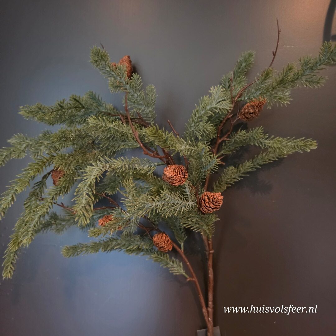 Hangende Kunst Dennentak met Dennenappels || 103 cm - Afbeelding 3