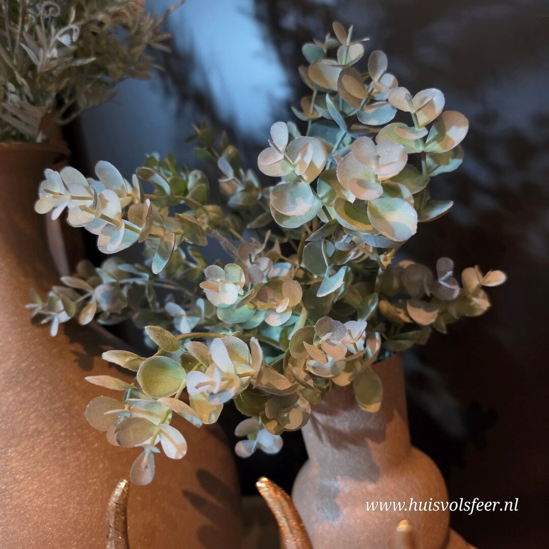 Eucalyptus Bush- Groen || 33 cm - Afbeelding 2