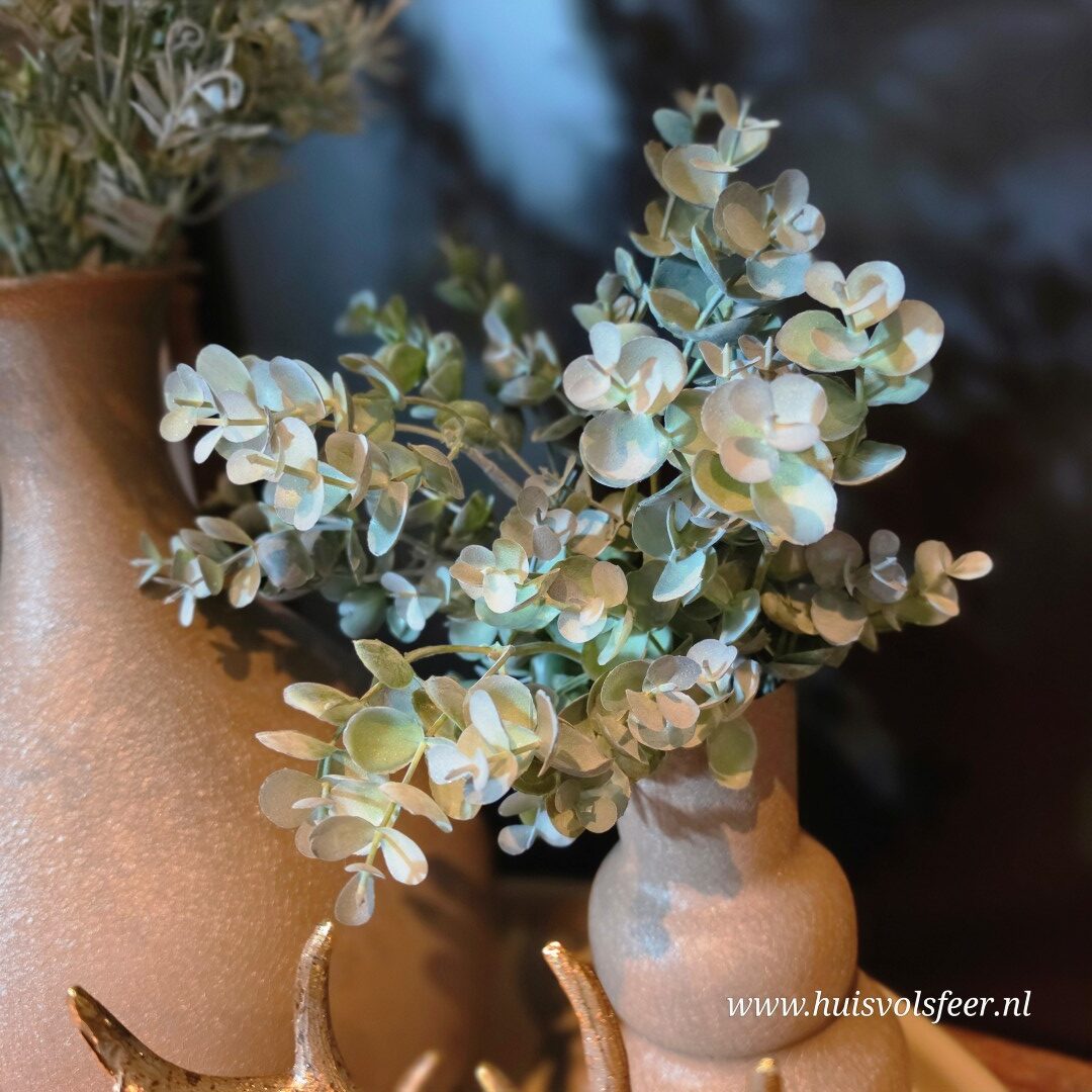 Eucalyptus Bush- Groen || 33 cm - Afbeelding 3