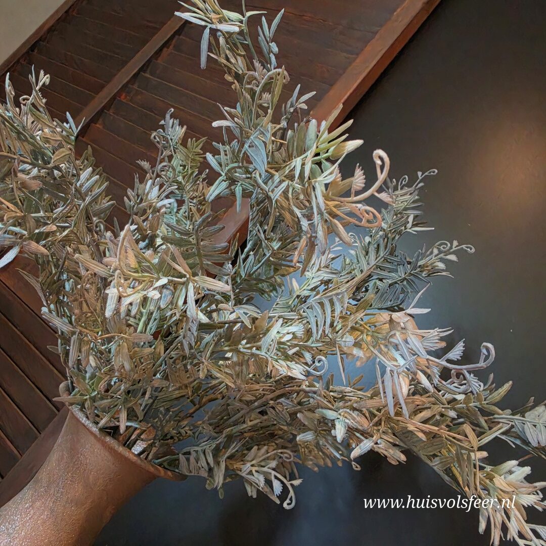 Pistacia Bush- Grijs/ Groen || 53 cm - Afbeelding 3