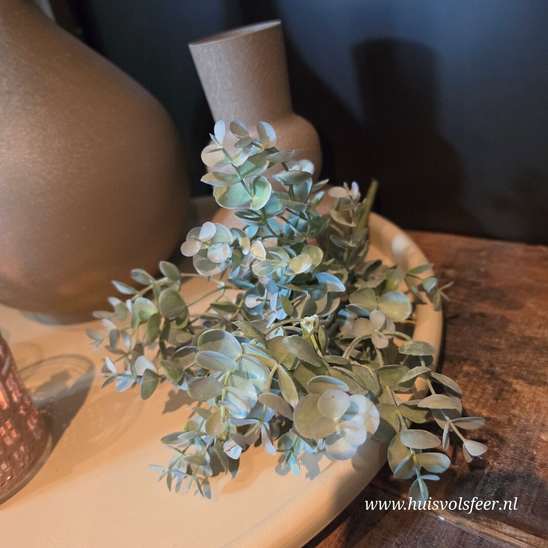 Eucalyptus Bush- Groen || 33 cm - Afbeelding 4
