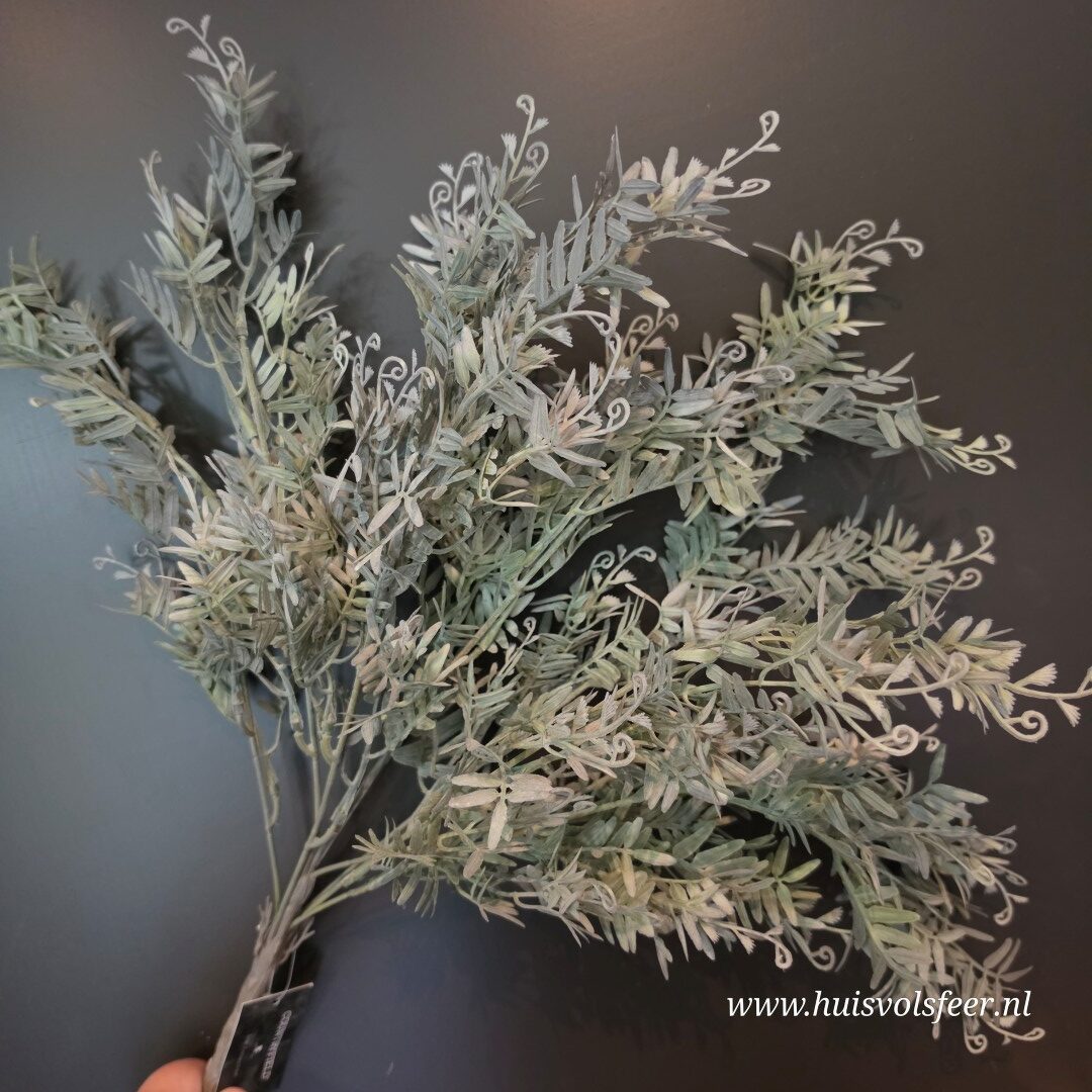 Pistacia Bush- Grijs/ Groen || 53 cm - Afbeelding 4
