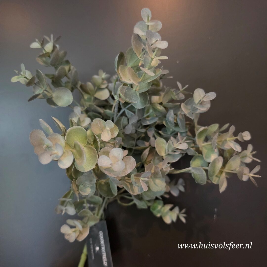 Eucalyptus Bush- Groen || 33 cm - Afbeelding 5