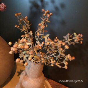 Kunst Bessentakje Exacum- Bruin/ Oranje || 31 cm