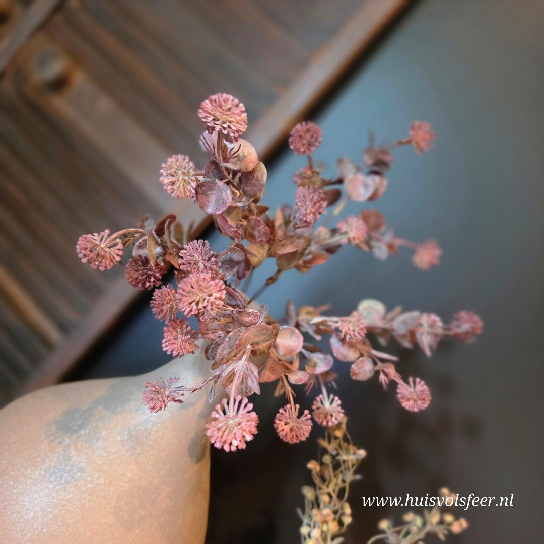 Acaena Bush- Rood || 35 cm - Afbeelding 3
