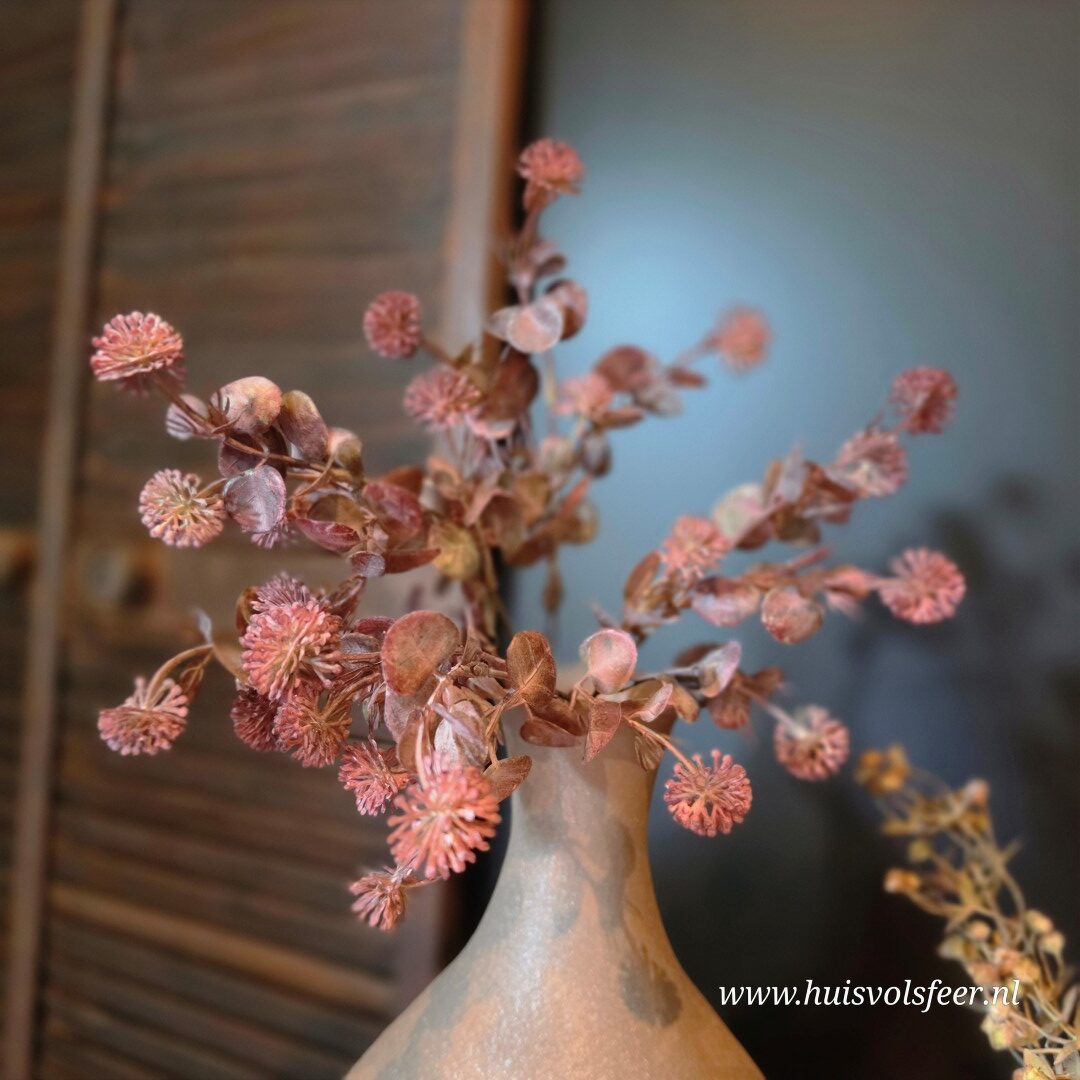 Acaena Bush- Rood || 35 cm - Afbeelding 4