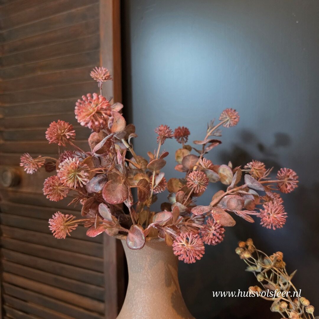 Acaena Bush- Rood || 35 cm