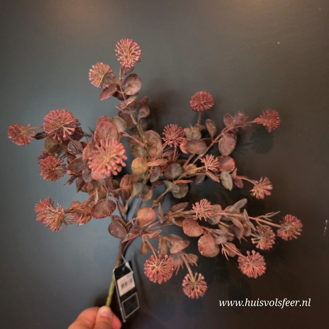 Acaena Bush- Rood || 35 cm - Afbeelding 5