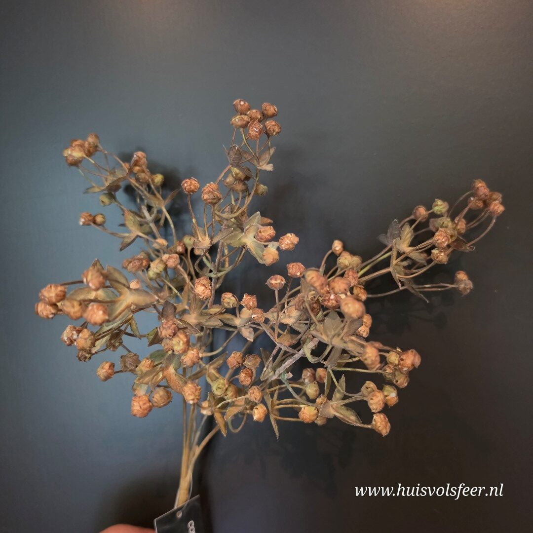 Kunst Bessentakje Exacum- Bruin/ Oranje || 31 cm - Afbeelding 3