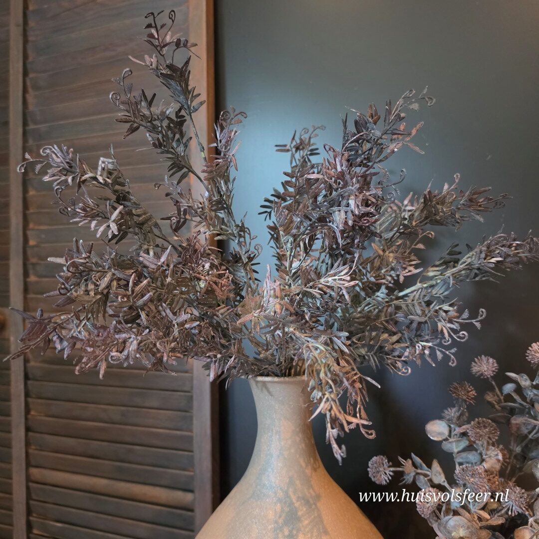 Pistacia Bush- Bruin/ Zwart || 53 cm - Afbeelding 2