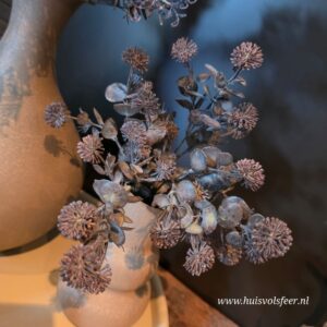 Acaena Bush- Bruin/ Zwart || 35 cm