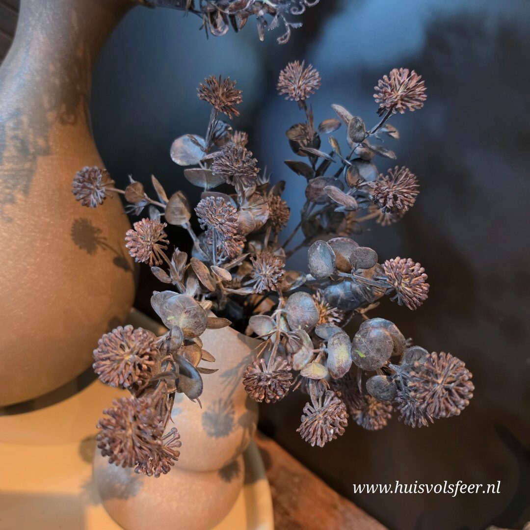 Acaena Bush- Bruin/ Zwart || 35 cm