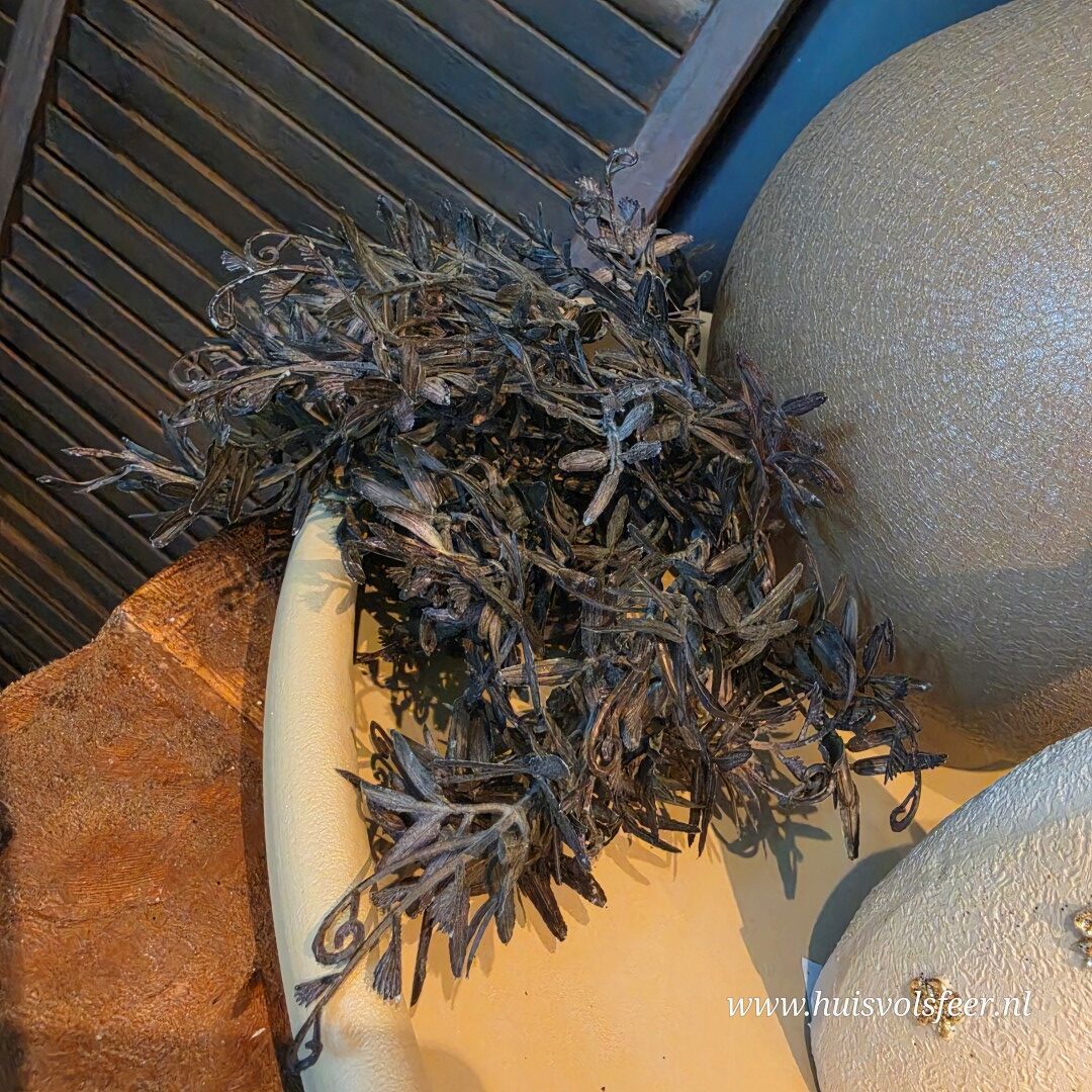 Pistacia Bush- Bruin/ Zwart || 37 cm - Afbeelding 4