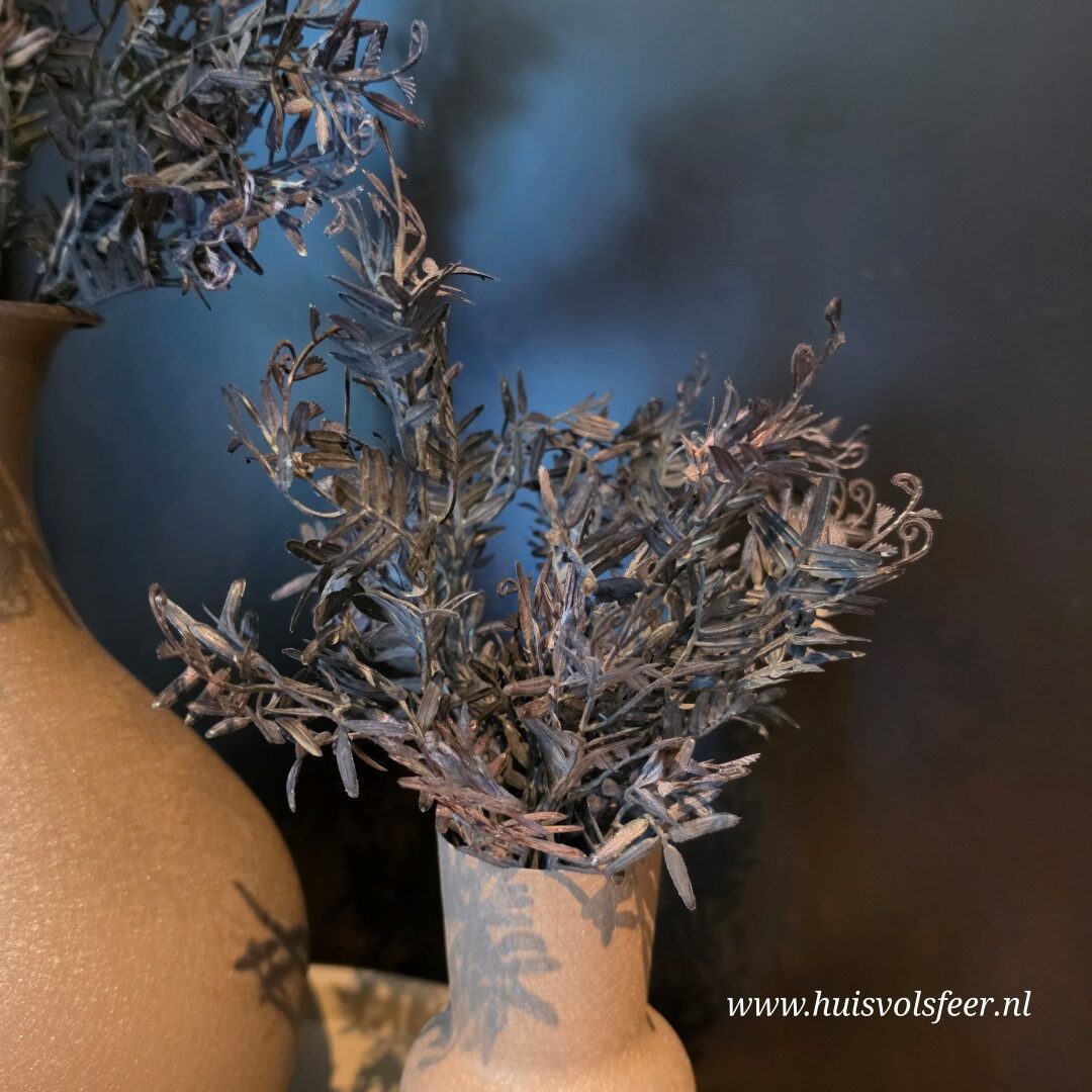 Pistacia Bush- Bruin/ Zwart || 37 cm - Afbeelding 2