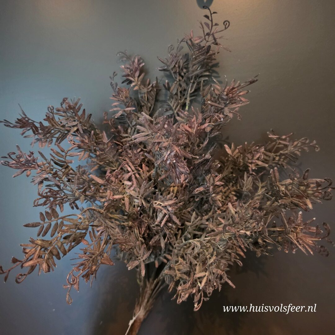 Pistacia Bush- Bruin/ Zwart || 53 cm - Afbeelding 4