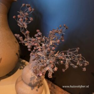 Kunst Bessentakje Exacum- Donkerpaars || 31 cm