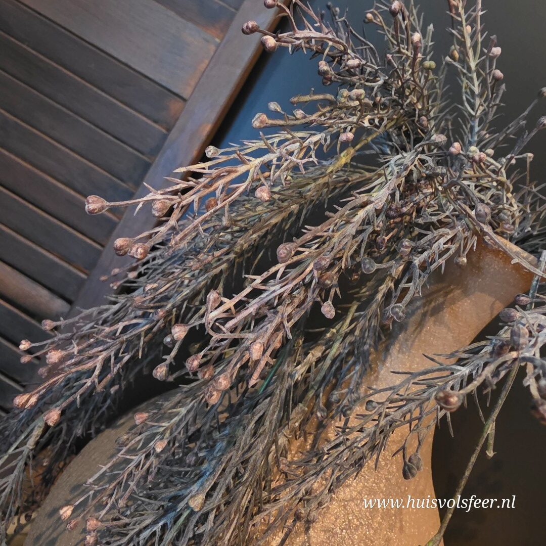Juniperus Hanger- Bruin/ Zwart || 78 cm - Afbeelding 4