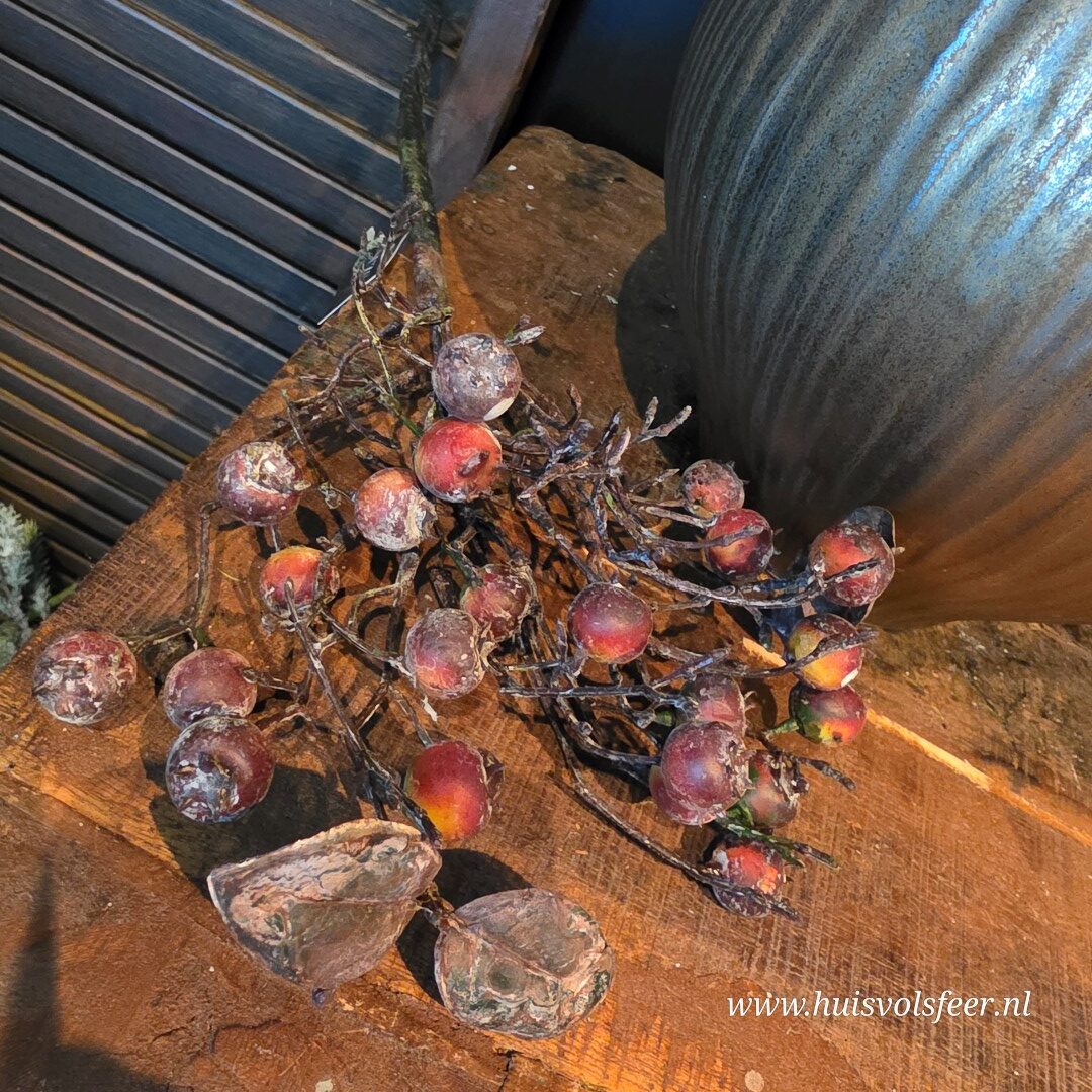 Rozenbottel Toef || Rood - Afbeelding 10