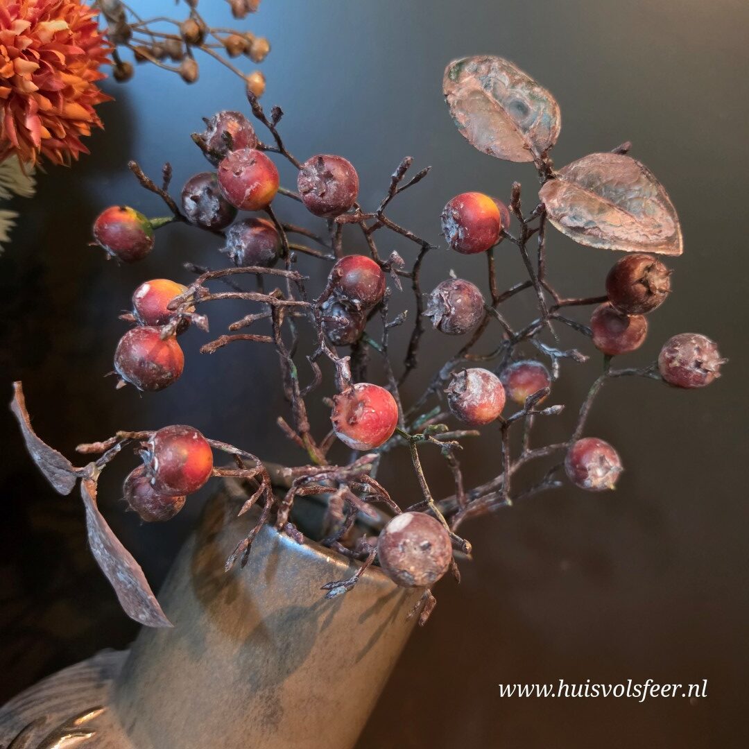 Rozenbottel Toef || Rood - Afbeelding 5