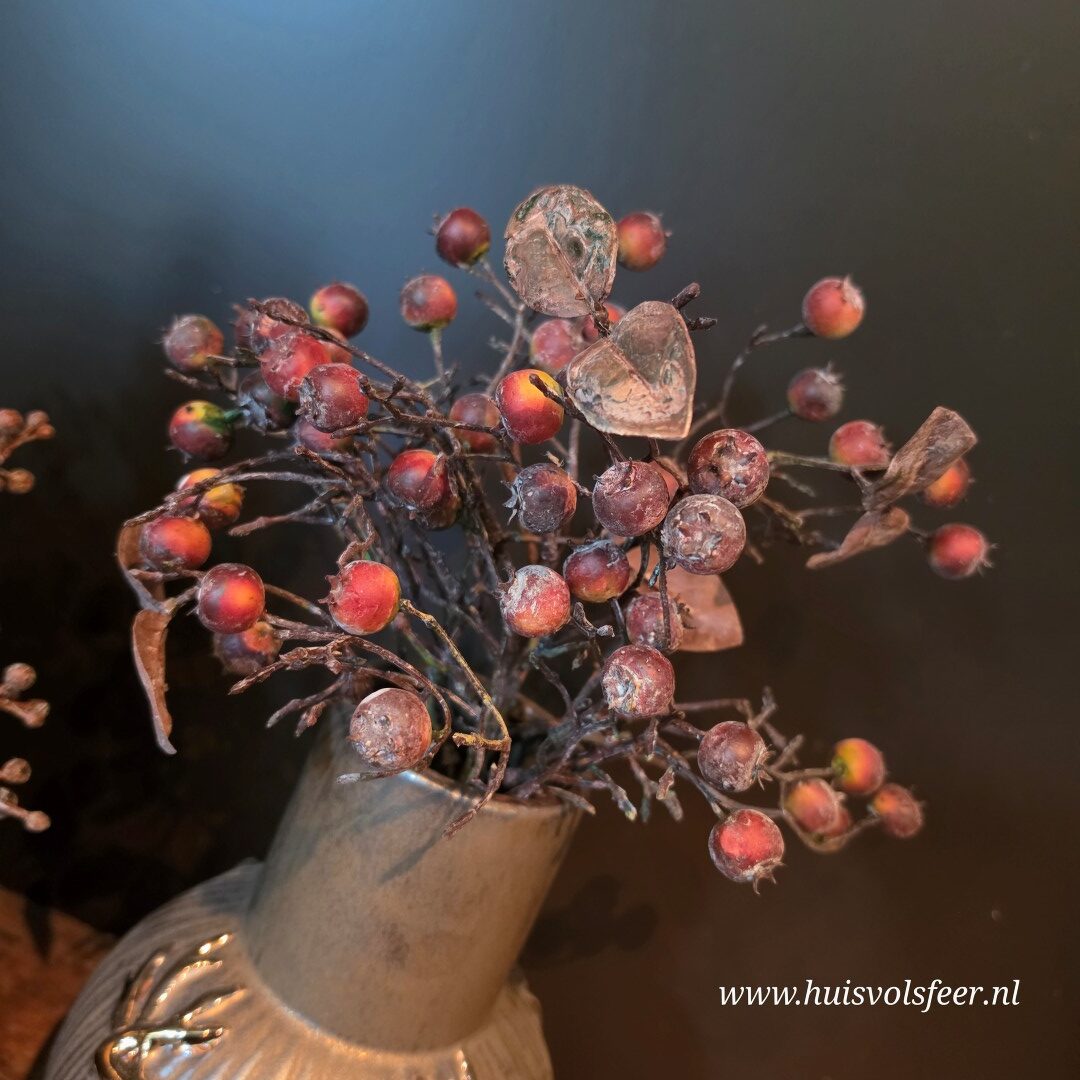 Rozenbottel Toef || Rood - Afbeelding 8