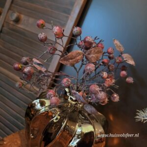 Rozenbottel Toef || Rood