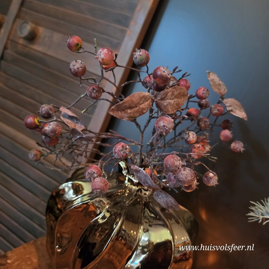 Rozenbottel Toef || Rood