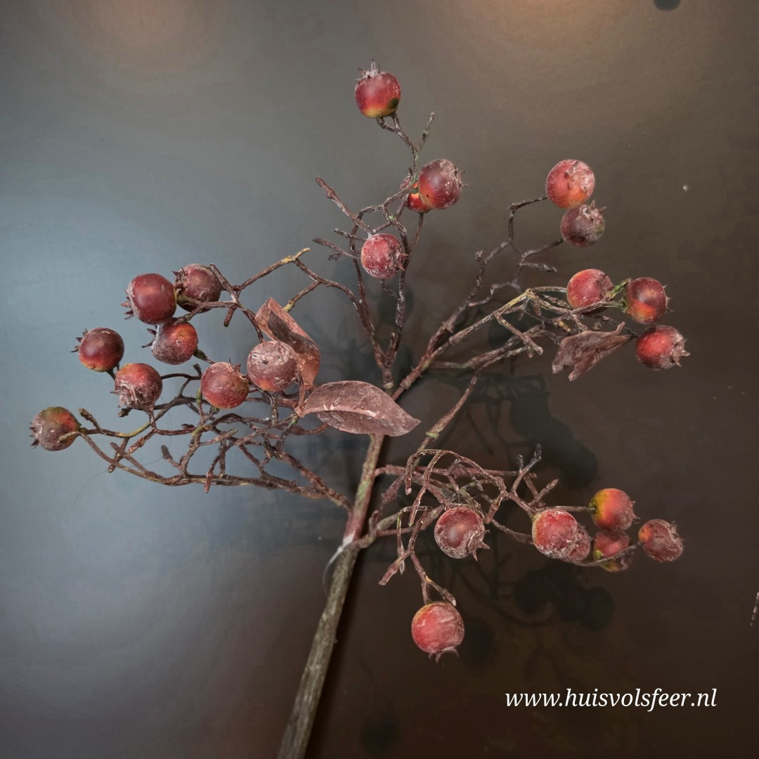 Rozenbottel Toef || Rood - Afbeelding 11