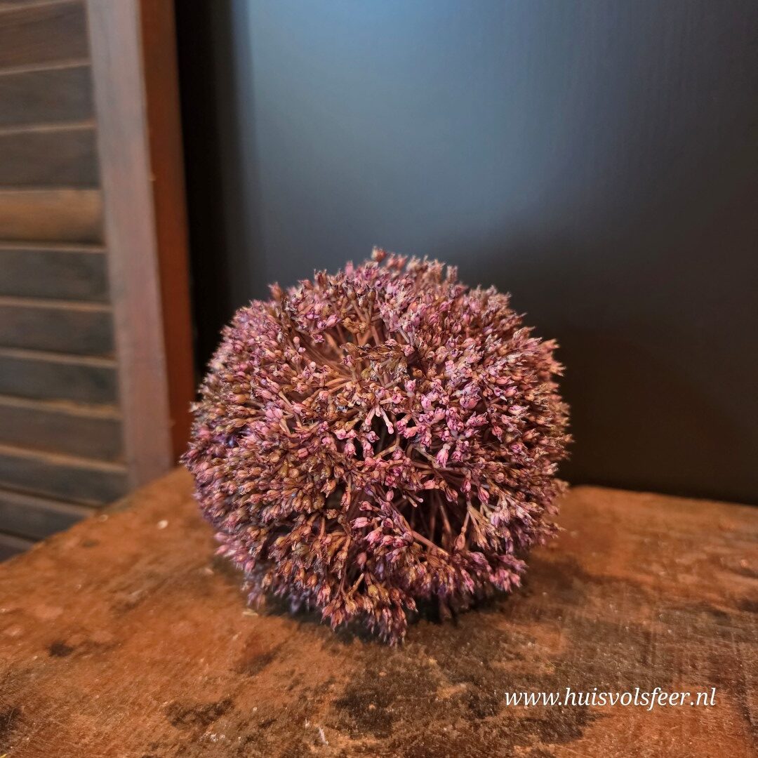 Deco Bol Wildflower Paars || Ø11 cm - Afbeelding 4