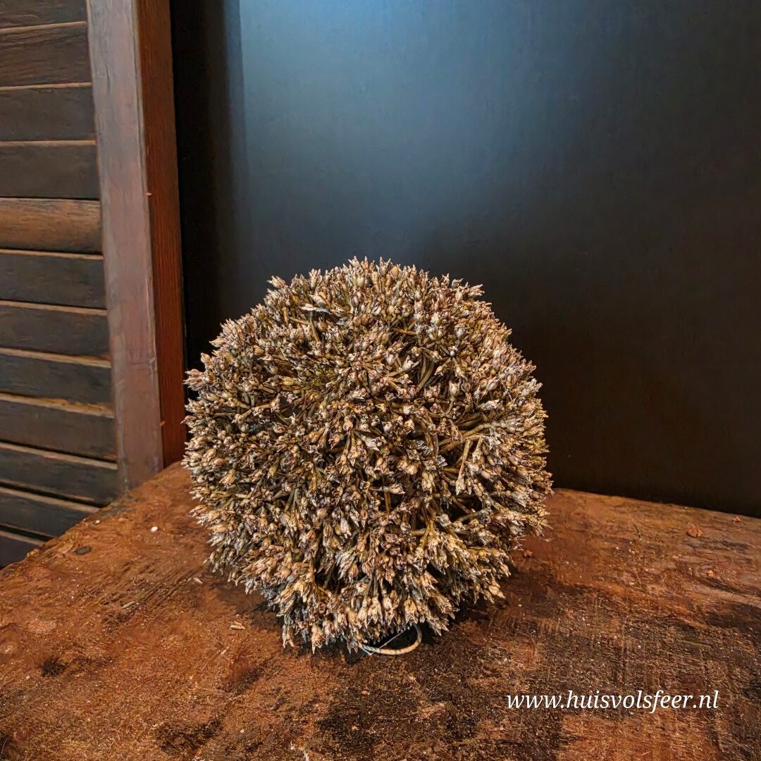 Deco Bol Wildflower Bruin || Ø11 cm - Afbeelding 5