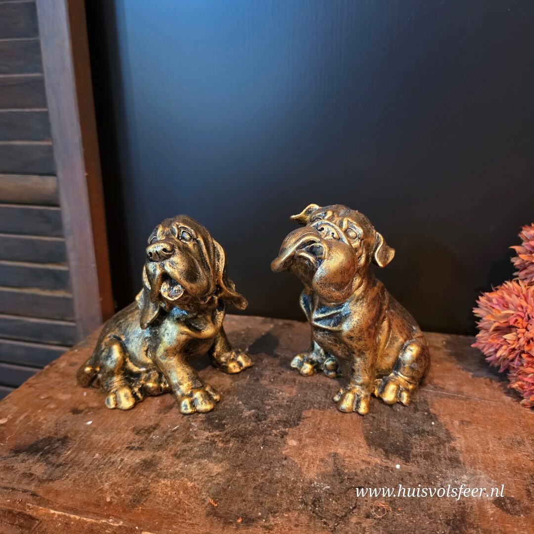 Bulldog Diesel || Goud - Afbeelding 5