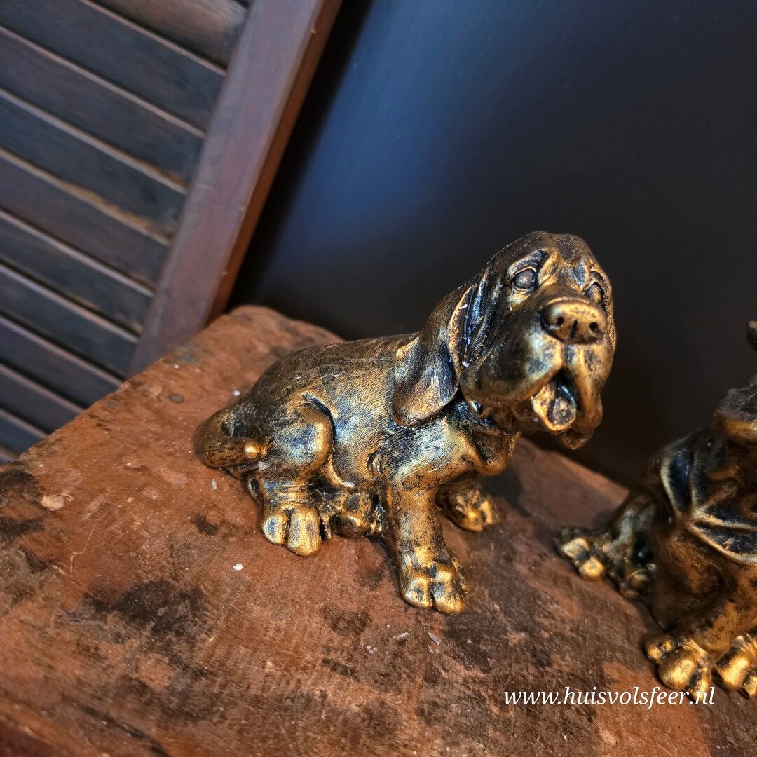 Franse Bulldog Dexter || Goud - Afbeelding 4