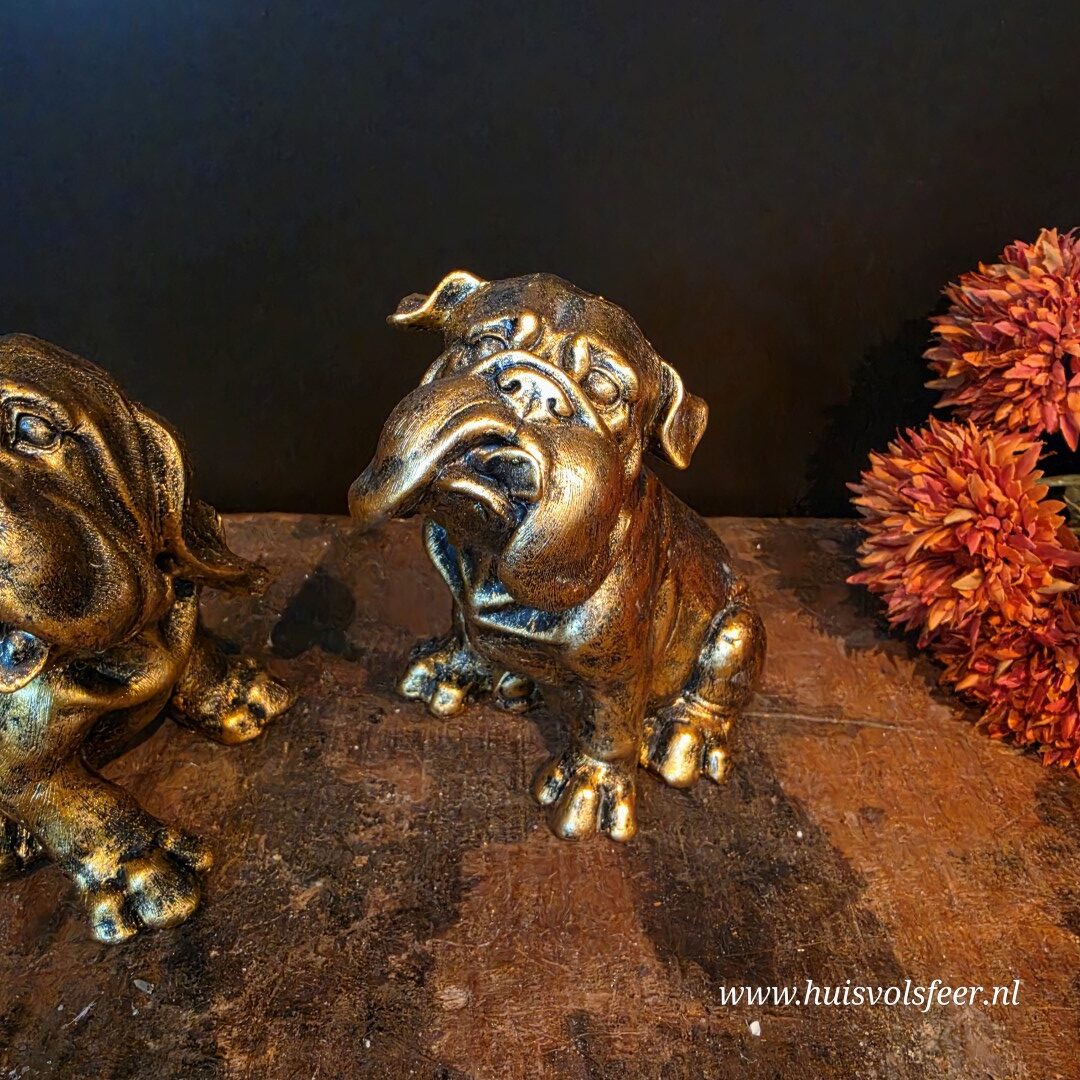 Bulldog Diesel || Goud - Afbeelding 3