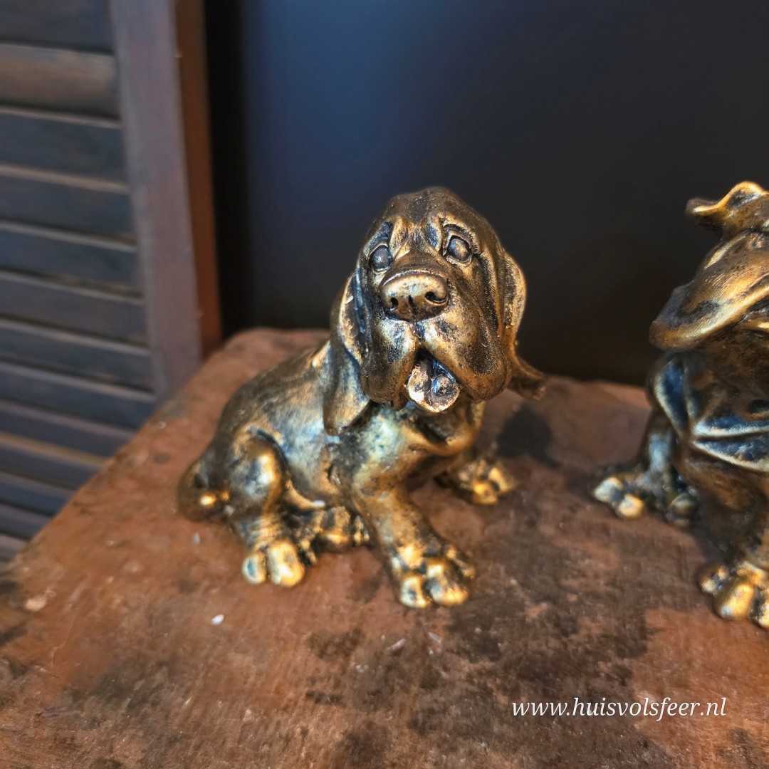Franse Bulldog Dexter || Goud - Afbeelding 3
