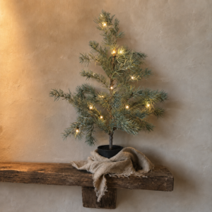 Larix Boompje Groen || 60 cm