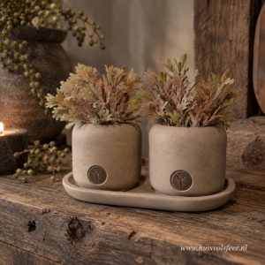 Set of 2 Planter on a Plate- Majestic Taupe || Brynxz
