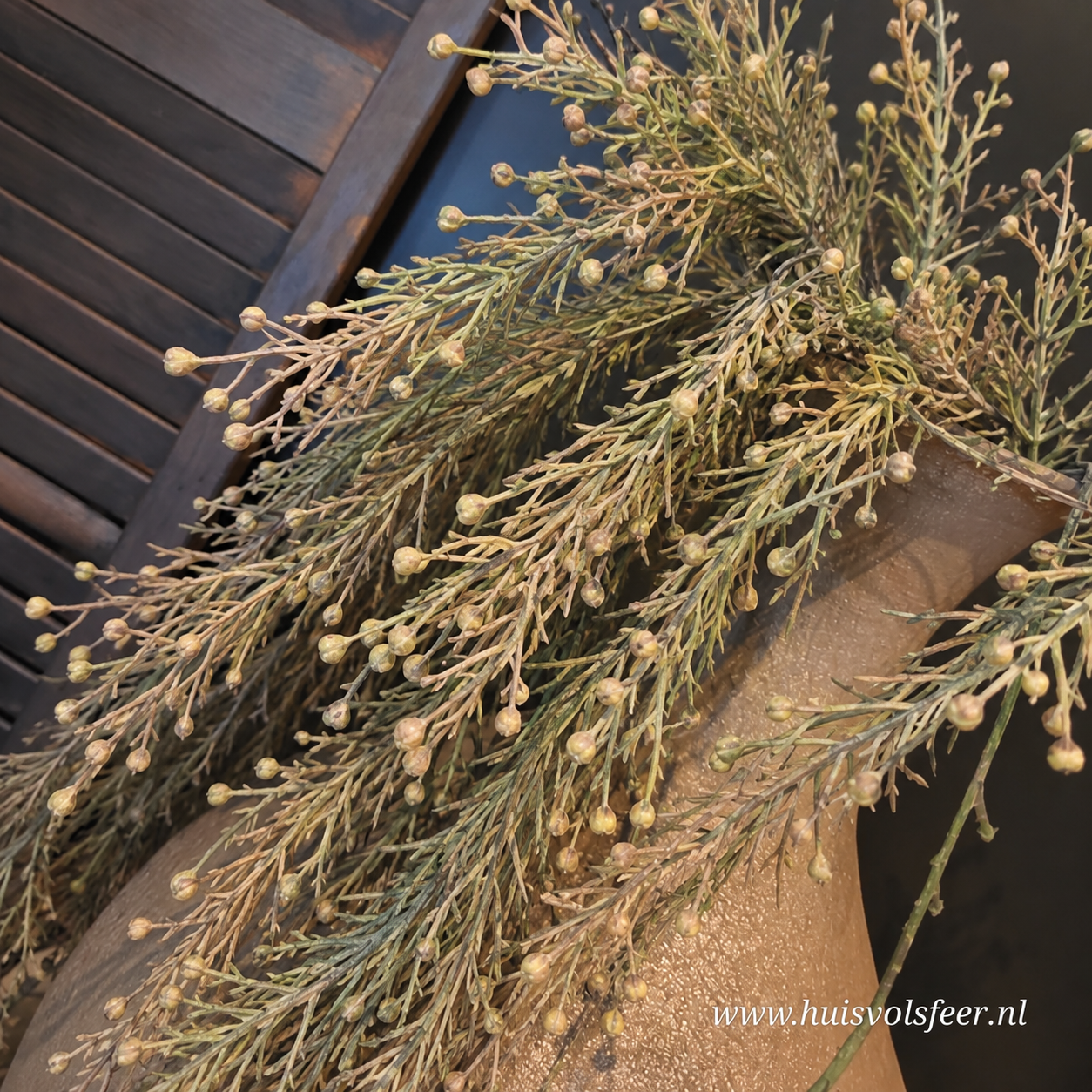 Juniperus Hanger- Lichtbruin || 78 cm - Afbeelding 3