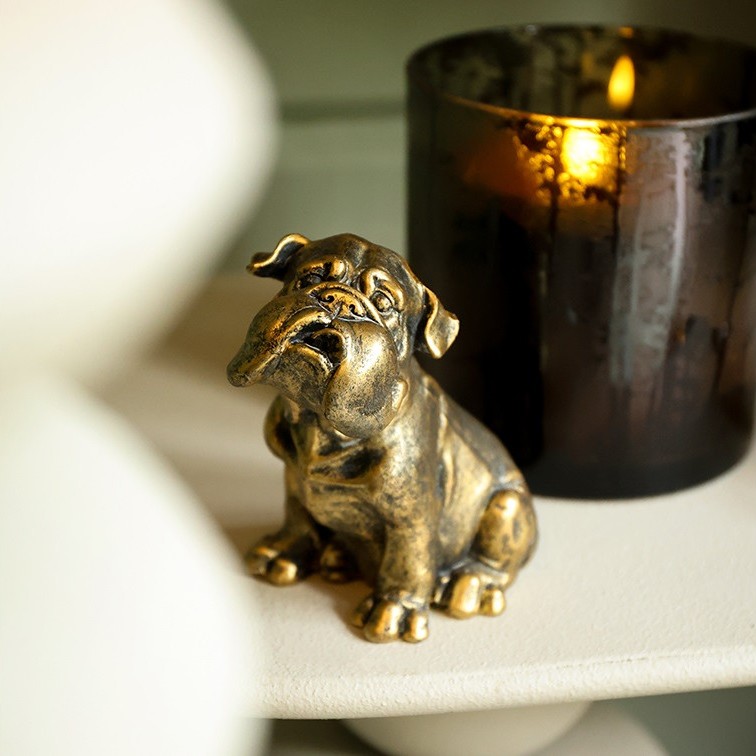 Bulldog Diesel || Goud - Afbeelding 6