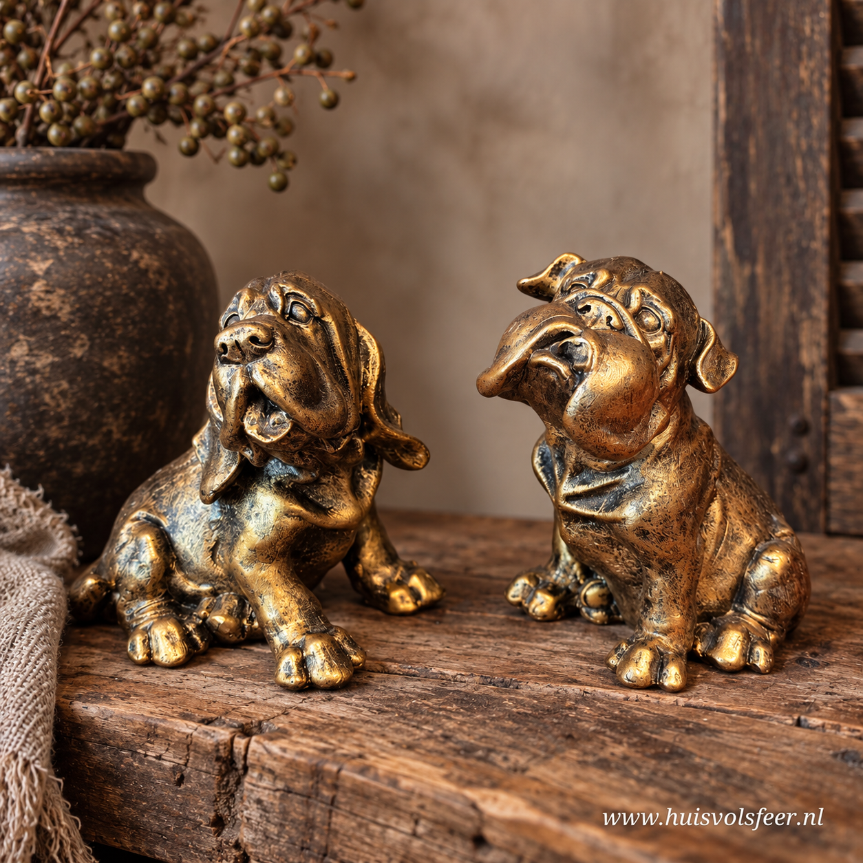 Bulldog Diesel || Goud - Afbeelding 2