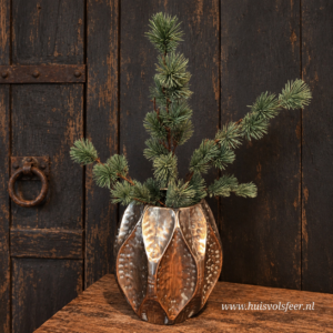 Larix Zijdetak || 79 cm