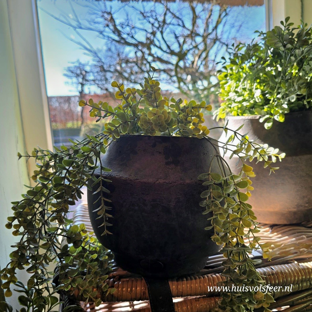 Planter Grandeur Neck M- Majestic Brown || Brynxz - Afbeelding 2