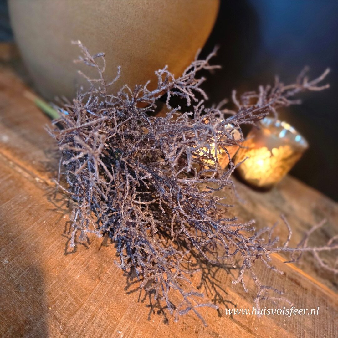 Gagel Bundel || 43 cm - Afbeelding 4
