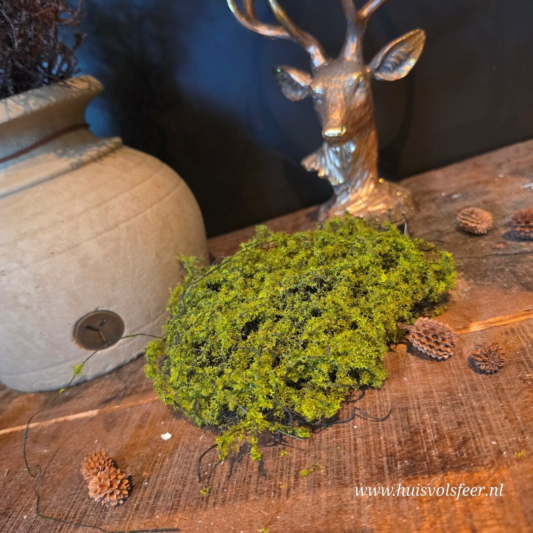 Kunst Mos - Afbeelding 4