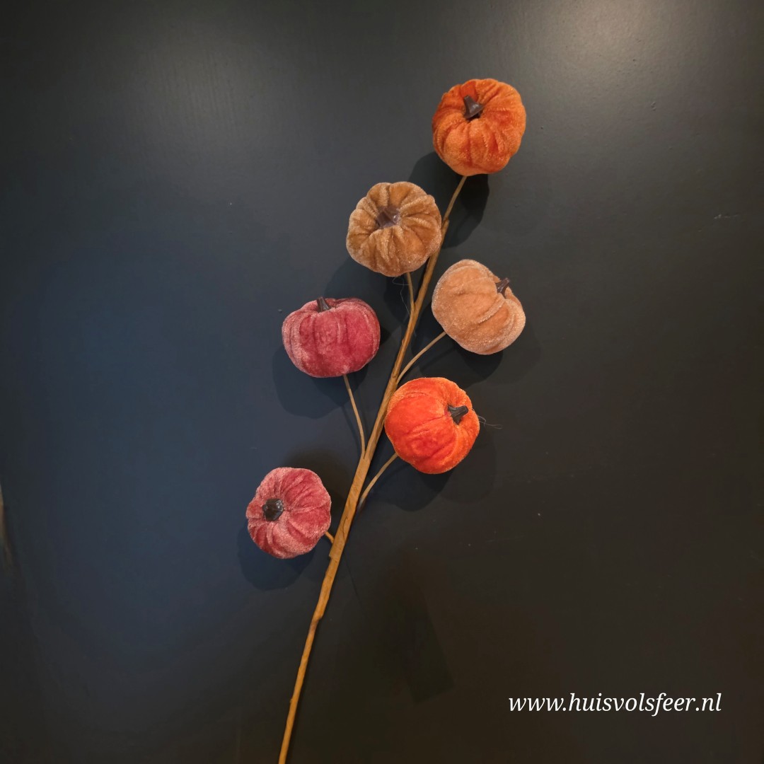 Pompoen Velvet Steker || Herfsttak - Afbeelding 4