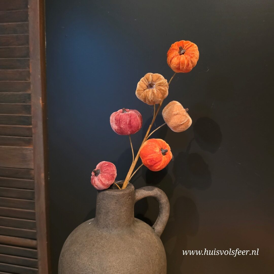 Pompoen Velvet Steker || Herfsttak - Afbeelding 7
